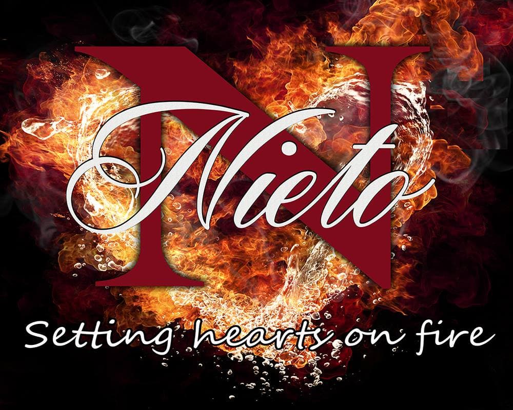 N. Nieto Author logo