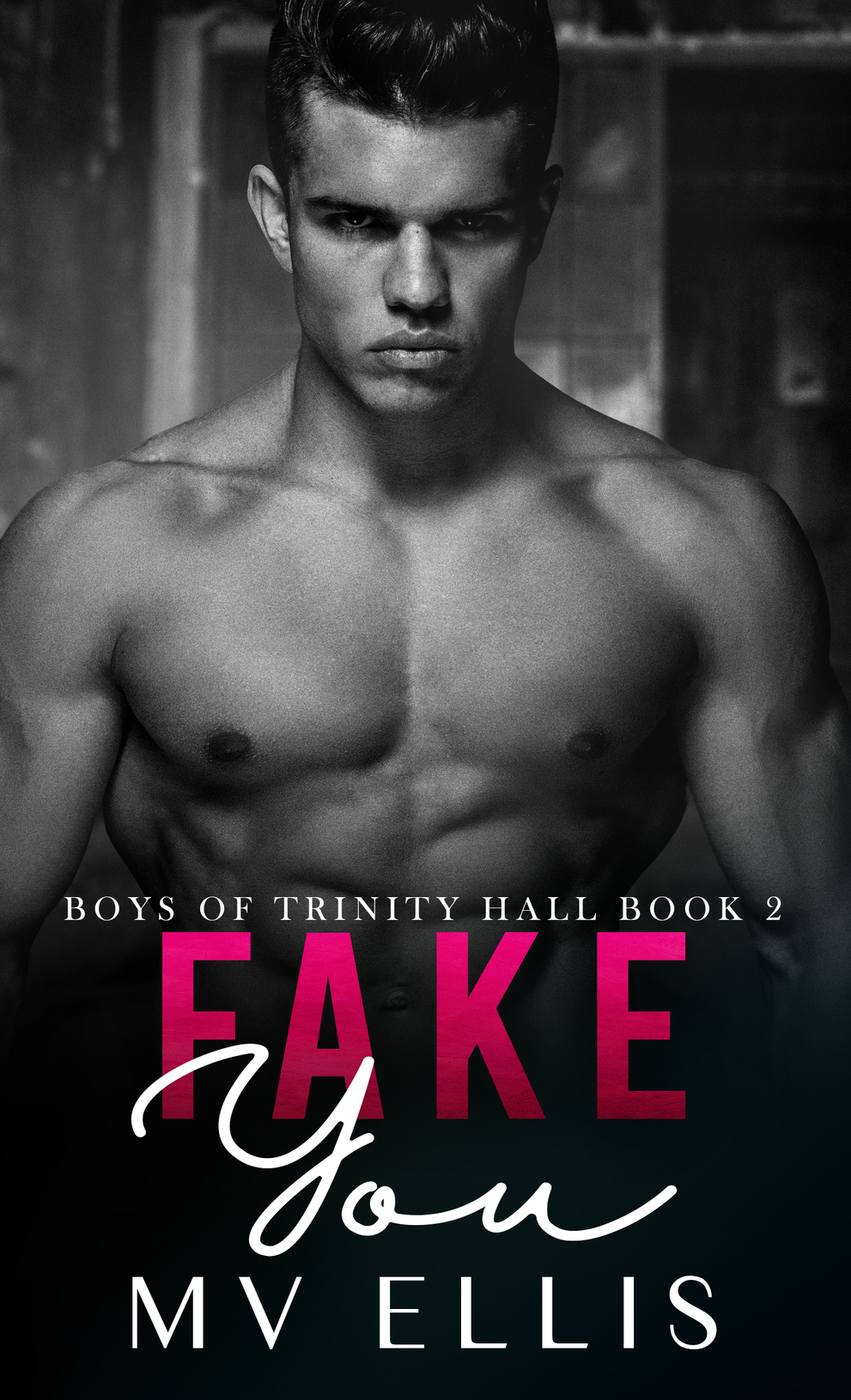 Fake You Ebook Cover